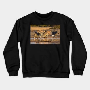 Zebras at Waterhole, Hwange National Park, Zimbabwe Crewneck Sweatshirt